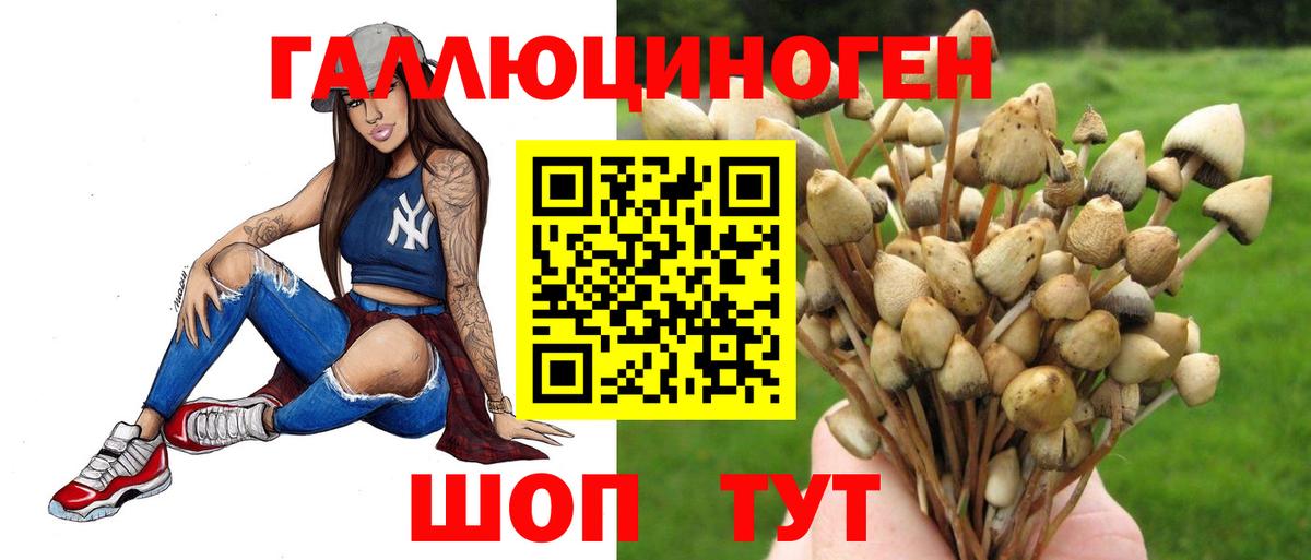 Можга  Псилоцибиновые грибы Magic Shrooms  Вход с VPN 