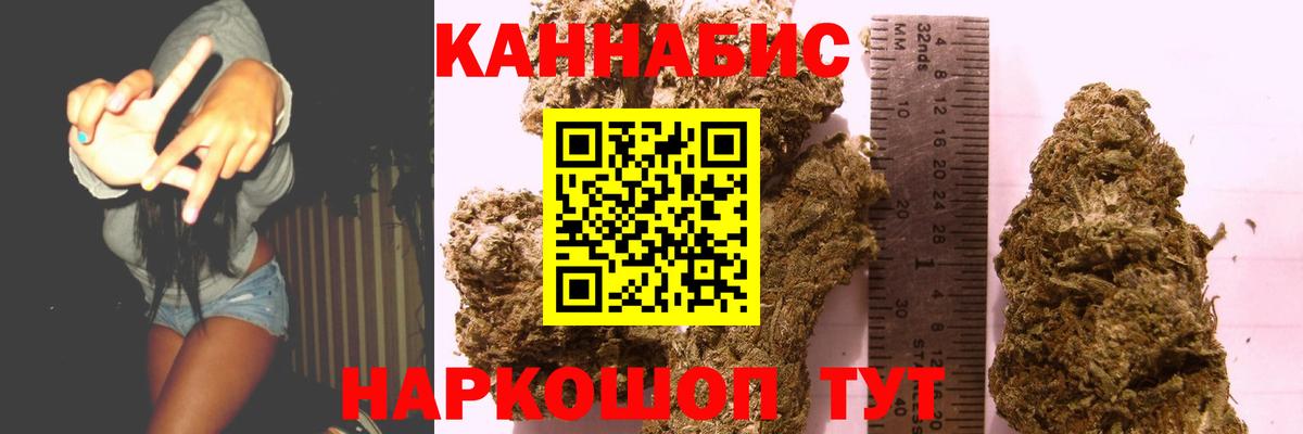 Конопля OG Kush Можга